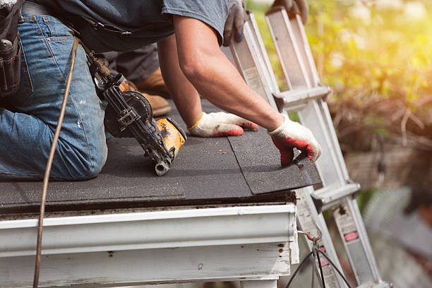 Best Flat Roof Repair Services  in Glenwood, IL
